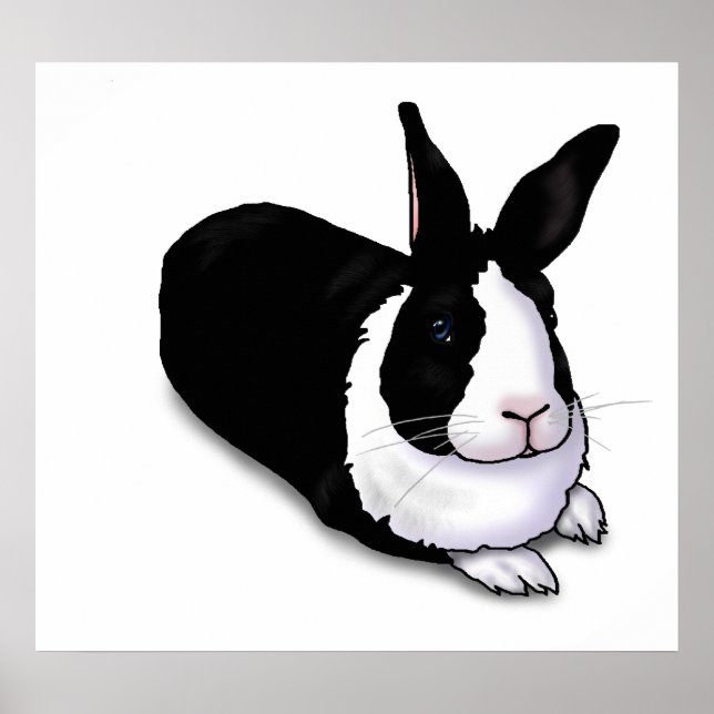 Poster Lapin noir et blanc (Devant)