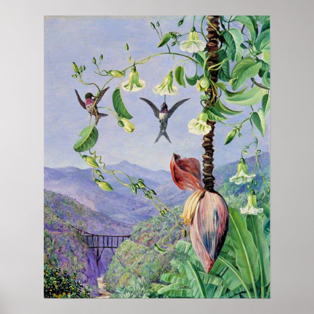 Poster L'aqueduc de Morro Velho (Devant)