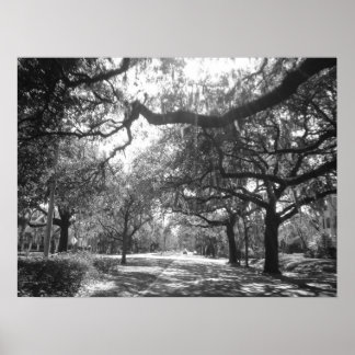 Poster L'Arbour de la nature