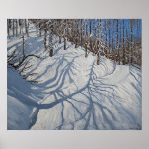 Poster L'arbre de sapin ombrage Tignes 2009