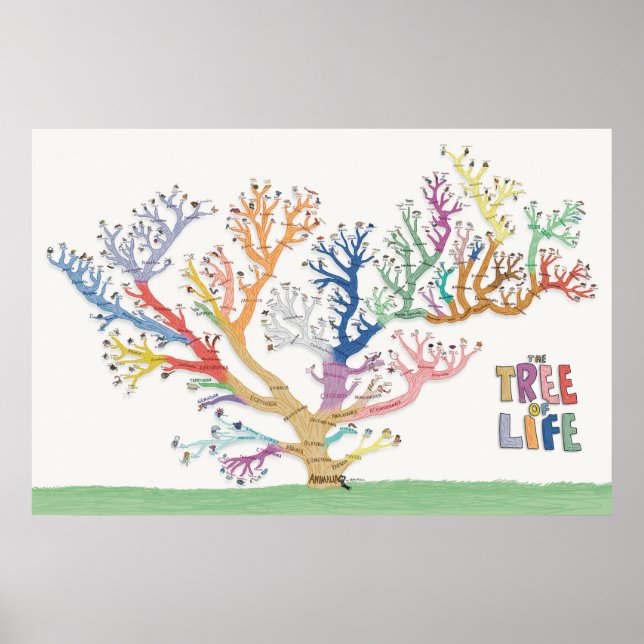 Poster L'arbre de vie (Devant)