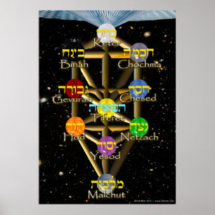 Poster L'arbre de vie   hébreu et anglais   Toutes les ta
