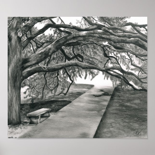 Poster L'arbre du siècle (Devant)