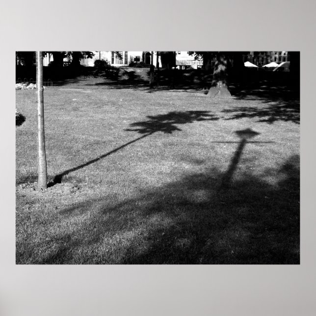 Poster L'arbre et le lampadaire étaient amis (Devant)