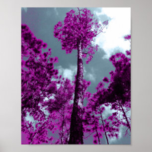 Poster L'arbre pourpre