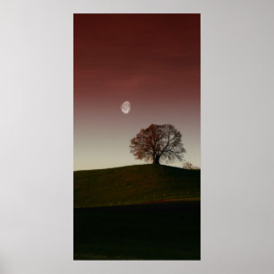Poster L'arbre solitaire et la lune pâle