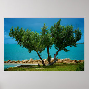 Poster L'arbre "Tout ce dont vous avez besoin, c'est de l