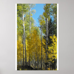 Poster L'Arizona Aspen