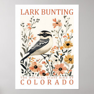 Poster Lark Bunting Bird of Colorado USA Travel