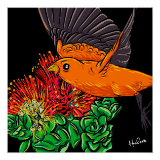 Poster L'art amérindien des oiseaux hawaïens