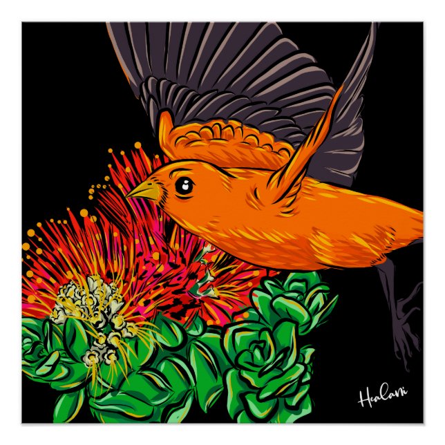 Poster L'art amérindien des oiseaux hawaïens (Devant)