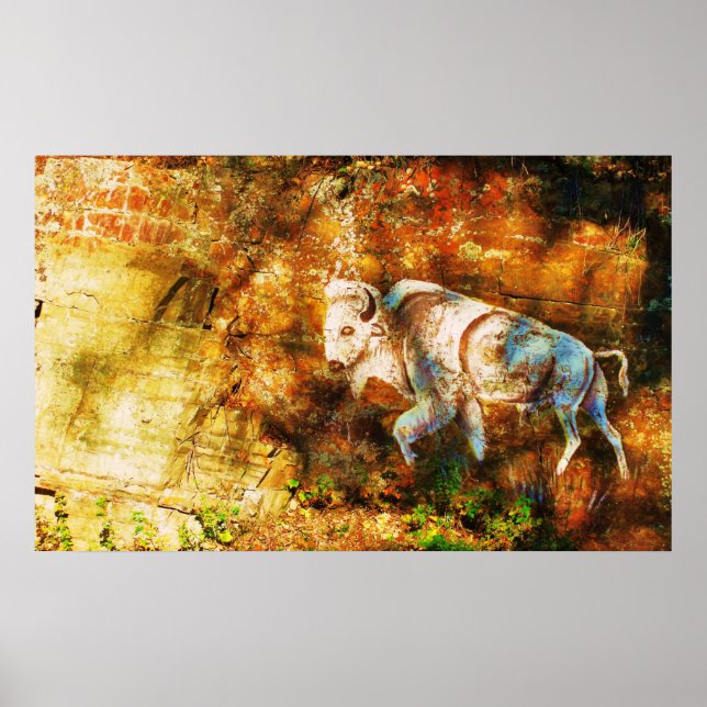 Poster L'art blanc Buffalo Cliff (Devant)