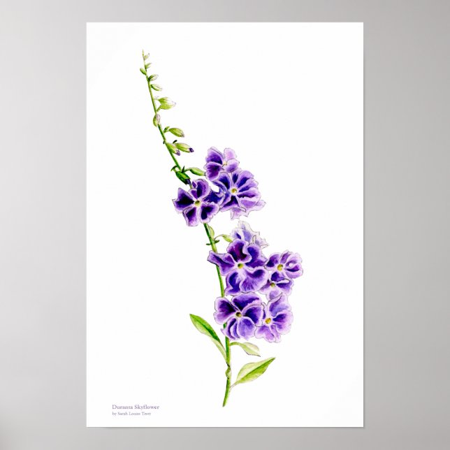 Poster L'art botanique de l'escargot violet par Sarah Tre (Devant)