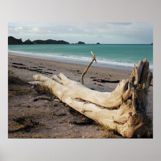 Poster l'art de la photo de la plage (Devant)