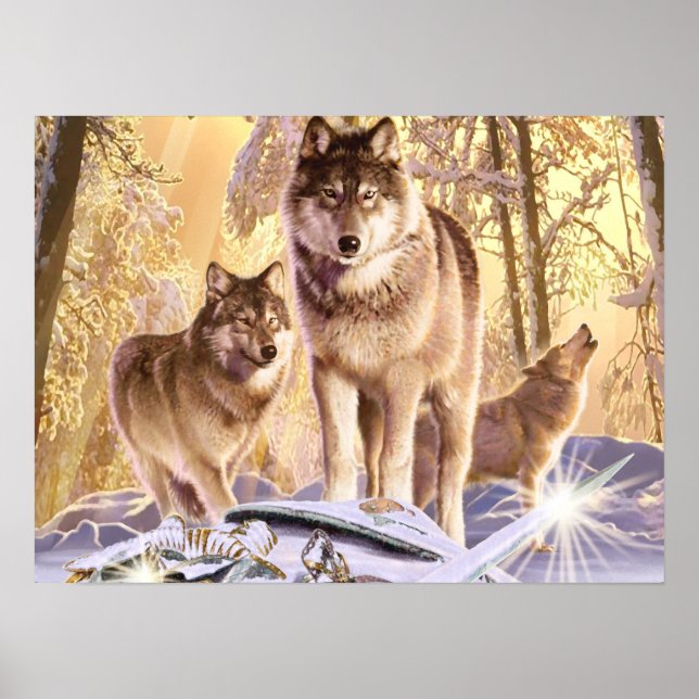 Poster L'art de la toile "Stars sous neige" (Devant)
