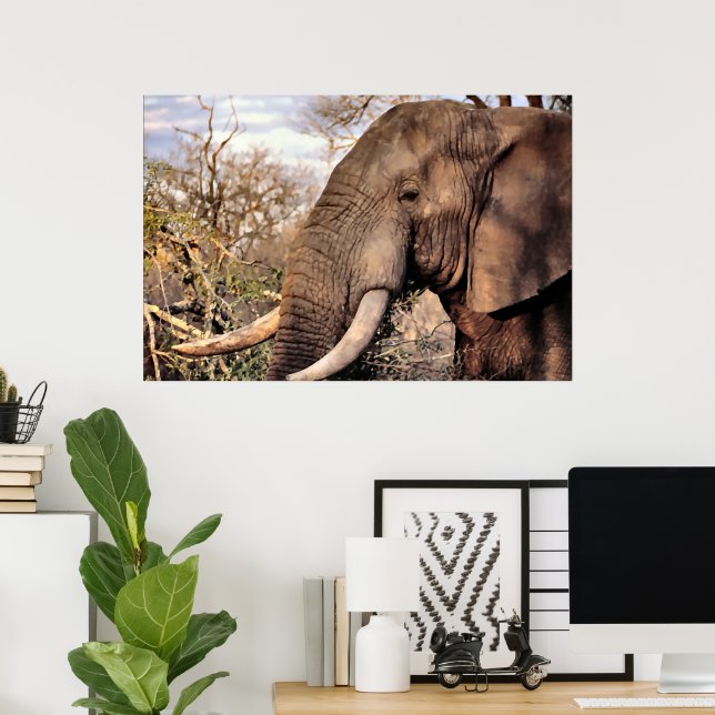 Poster L'Art des Amateurs d'éléphants (Bureau à domicile)
