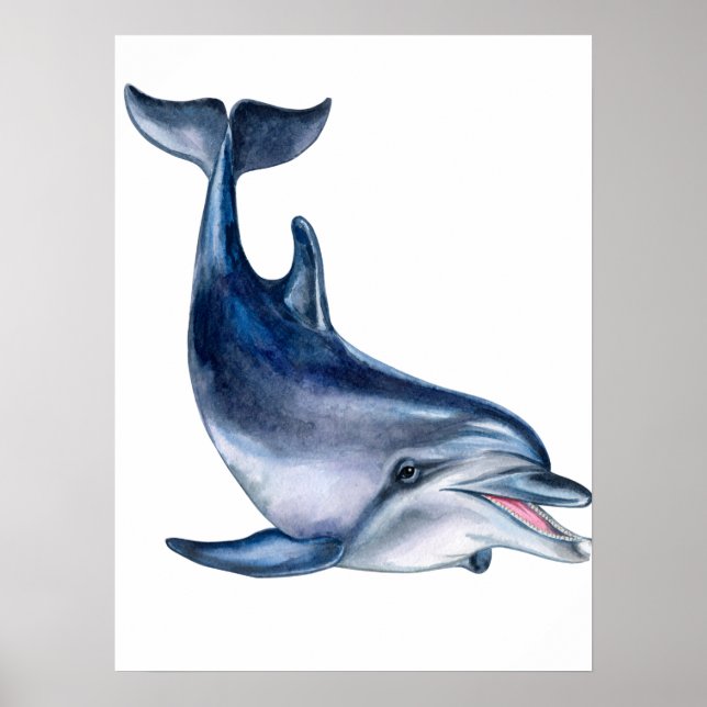 Poster L'art des dauphins (Devant)
