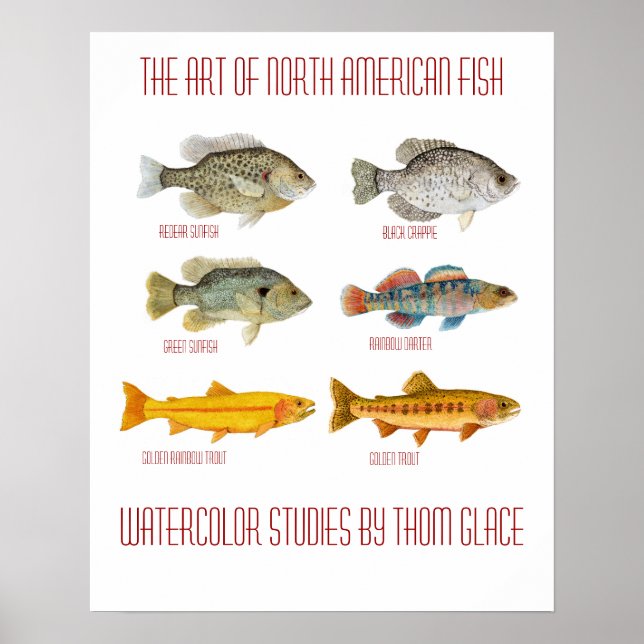 Poster L'art du poisson nord-américain (Devant)