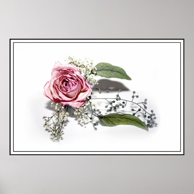 Poster L'art du vieillissement gracieusement - Une rose r (Devant)