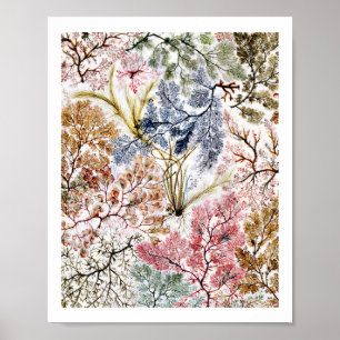 Poster L'art en tissu de soie d'algues
