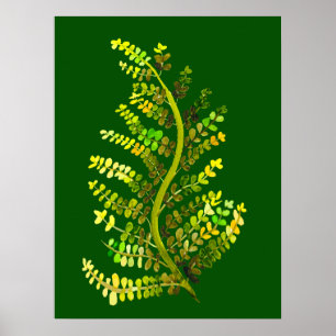 Poster L'art plante de la feuille de fougère verte
