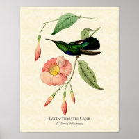 L'art Vintage de colibri à thème vert