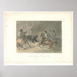 Poster Lassoing un ours (1178A)