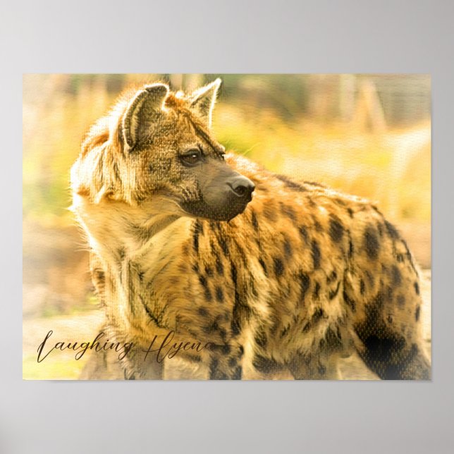 Poster Laughing Hyena ポ タ  (Devant)