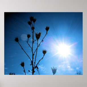 Poster Lauréat du prix TBA Hope