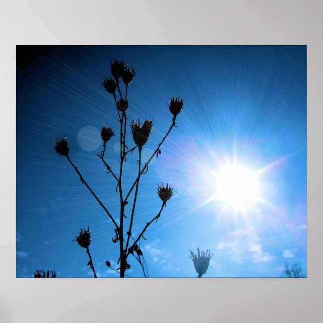 Poster Lauréat du prix TBA Hope (Devant)