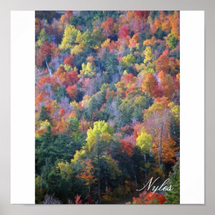Poster L'automne dans les Adirondacks