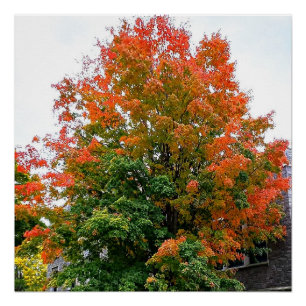 Poster L'AUTOMNE EST L'affiche PEINTURE DE DIEU