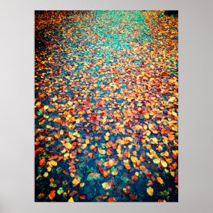 Poster L'automne laisse le chemin de forêt humide