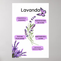 Lavanda y sus effective os en español