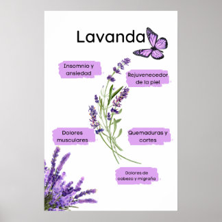 Poster Lavanda y sus effective os en español