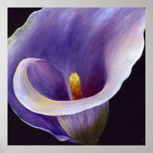 Poster Lavande Calla Lily