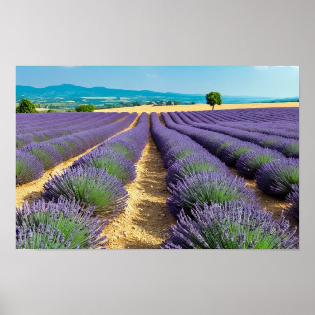Poster Lavande Nature Extérieur Paysage Calme Tranquille (Devant)