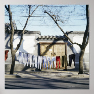 Poster Lave-linge séchant sur les lignes de linge