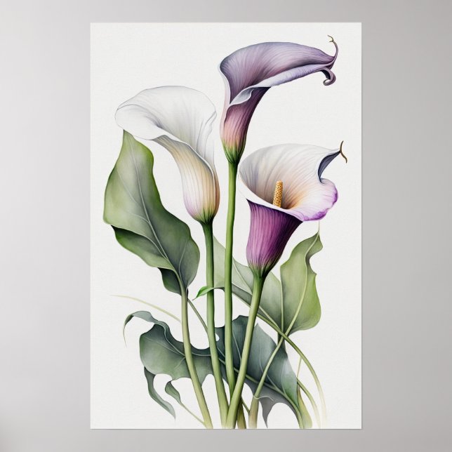 Poster Lavender Calla Lilies Lily Flower Art Imprimer Pos (Devant)