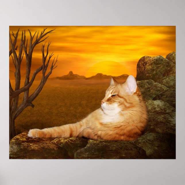 Poster Lazing cat (Devant)