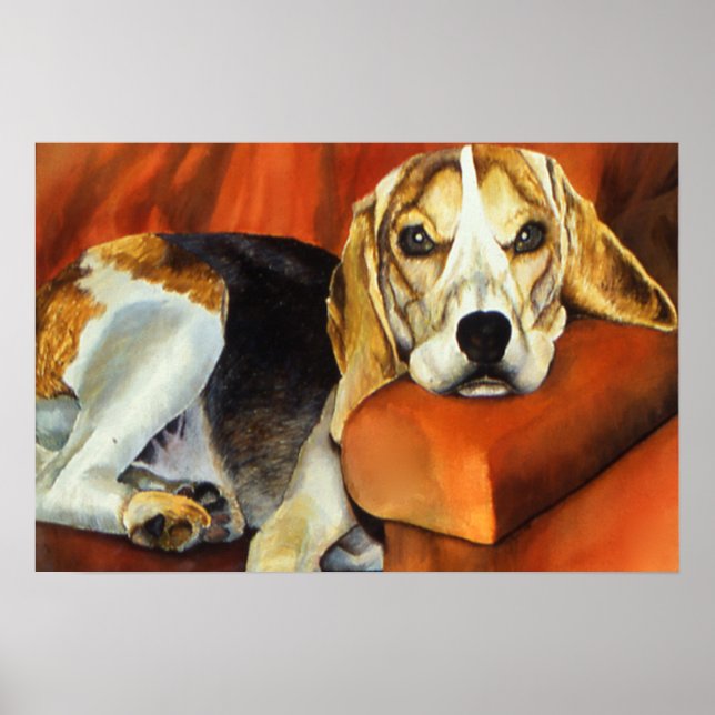 Poster Lazy Lucy (Devant)