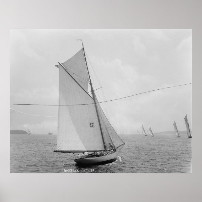 Poster Le Banshee (Devant)