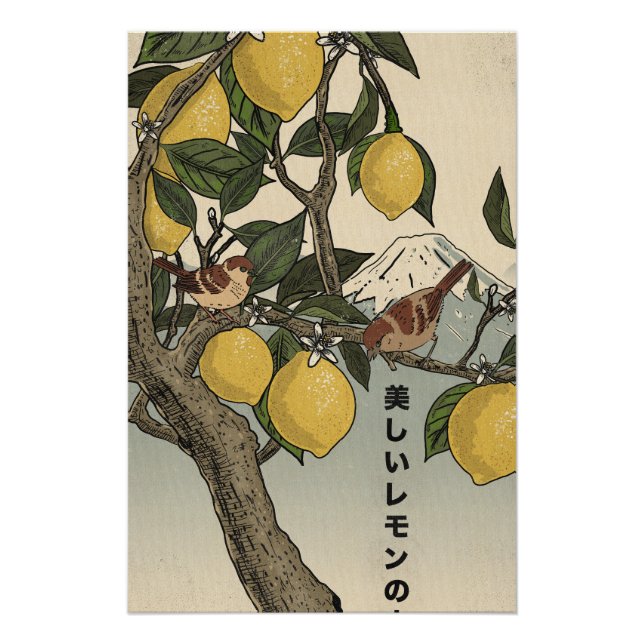Poster Le Beau Citronnier (Devant)