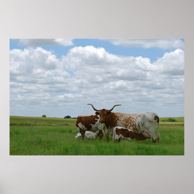 Poster Le bétail de Longhorn au Kansas (Devant)