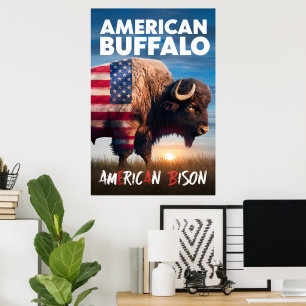 Poster Le bison américain se tient dans un champ