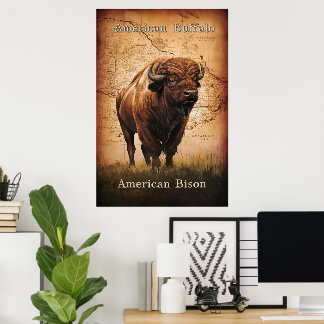 Poster Le bison américain sur la carte