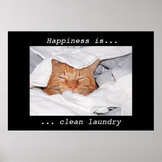 Poster Le bonheur est la blanchisserie propre