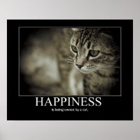 Le bonheur est possédé par un chat