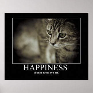 Poster Le bonheur est possédé par un chat