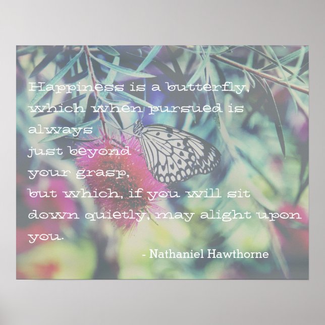 Poster Le bonheur est un papillon - Citation inspirante (Devant)